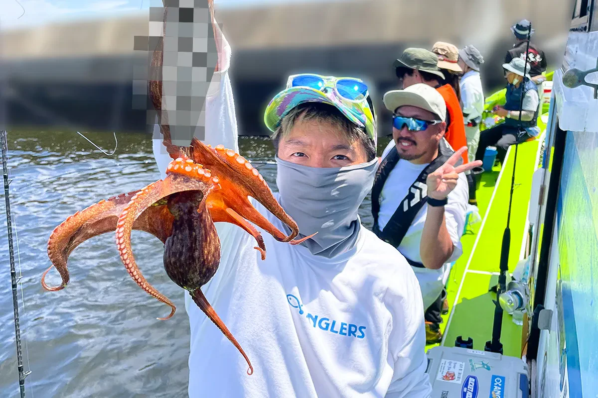 続々とマダコが釣れる