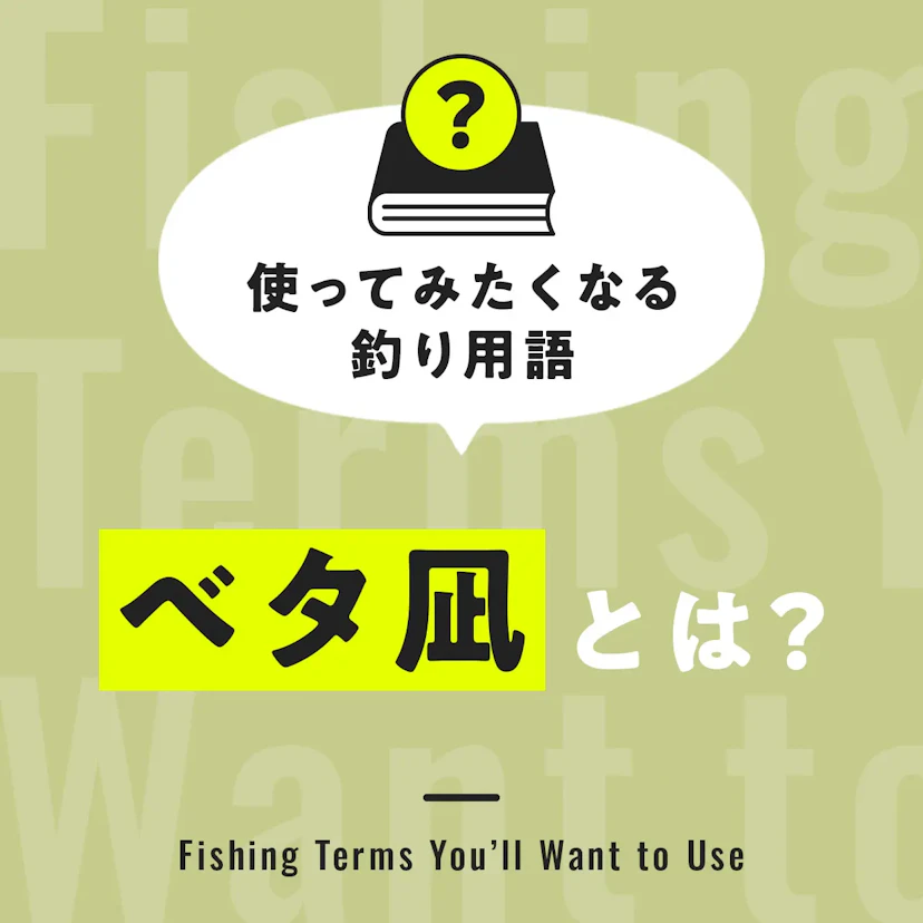 ベタ凪とは？【使ってみたくなる釣り用語】