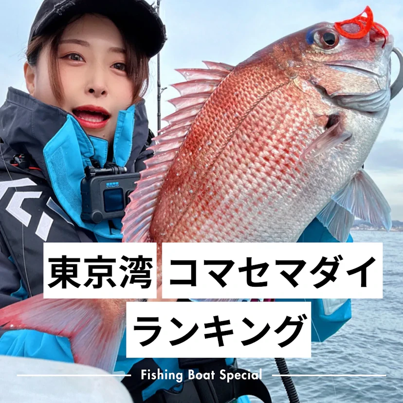 東京湾のコマセマダイのおすすめ釣船ランキングTOP9