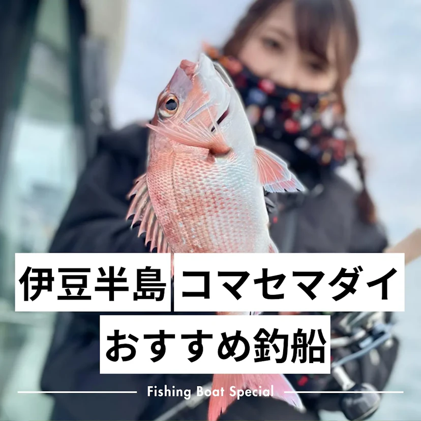 伊豆半島でコマセマダイがおすすめの釣船ランキングTOP7