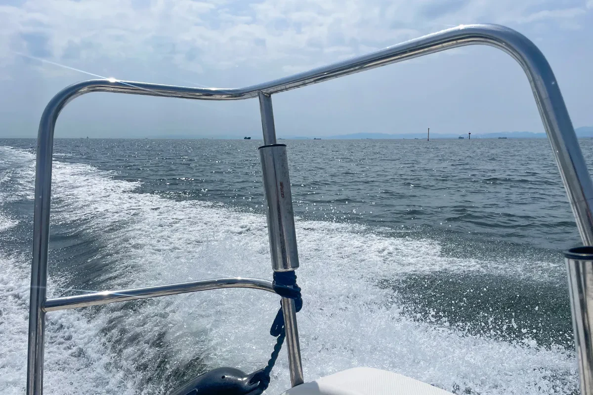 移動を繰り返す