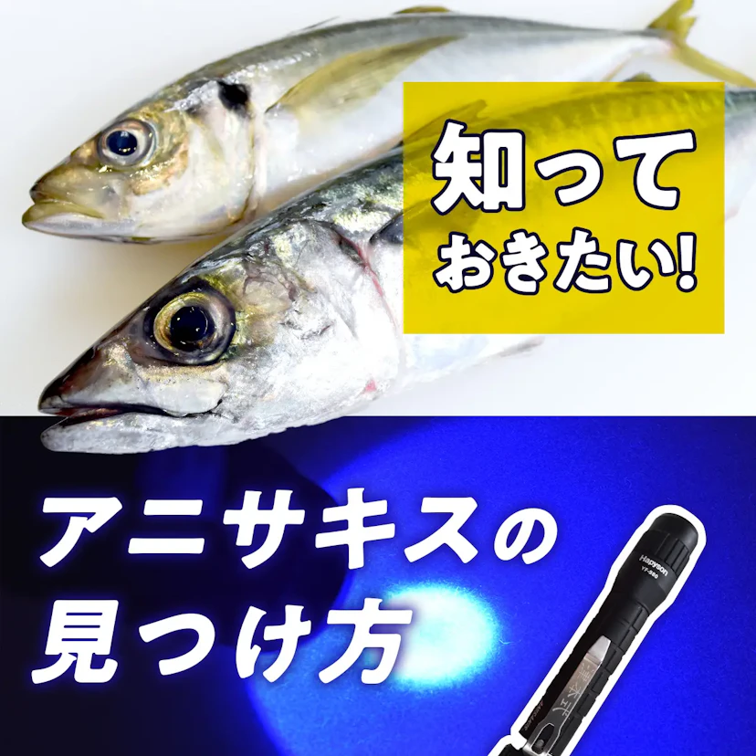 アニサキスの見つけ方！釣り人必見のあのアイテムも紹介