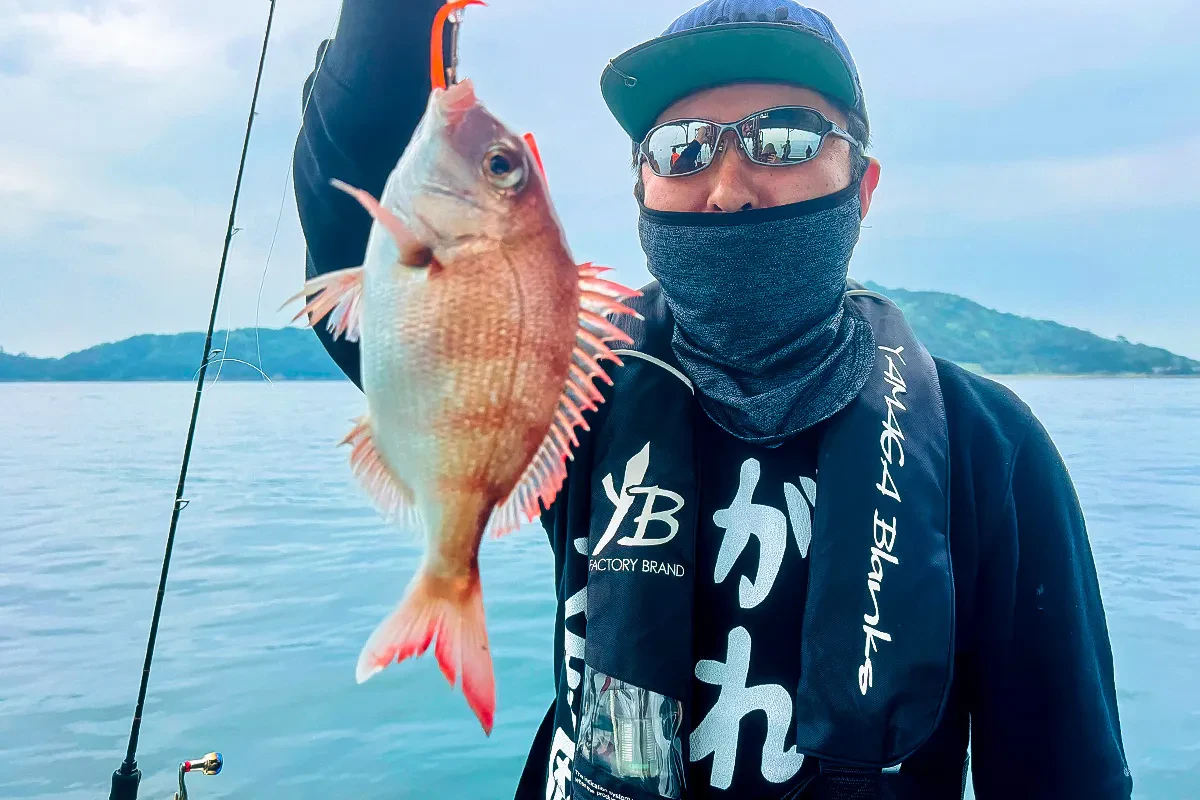 次々にマダイが釣れる