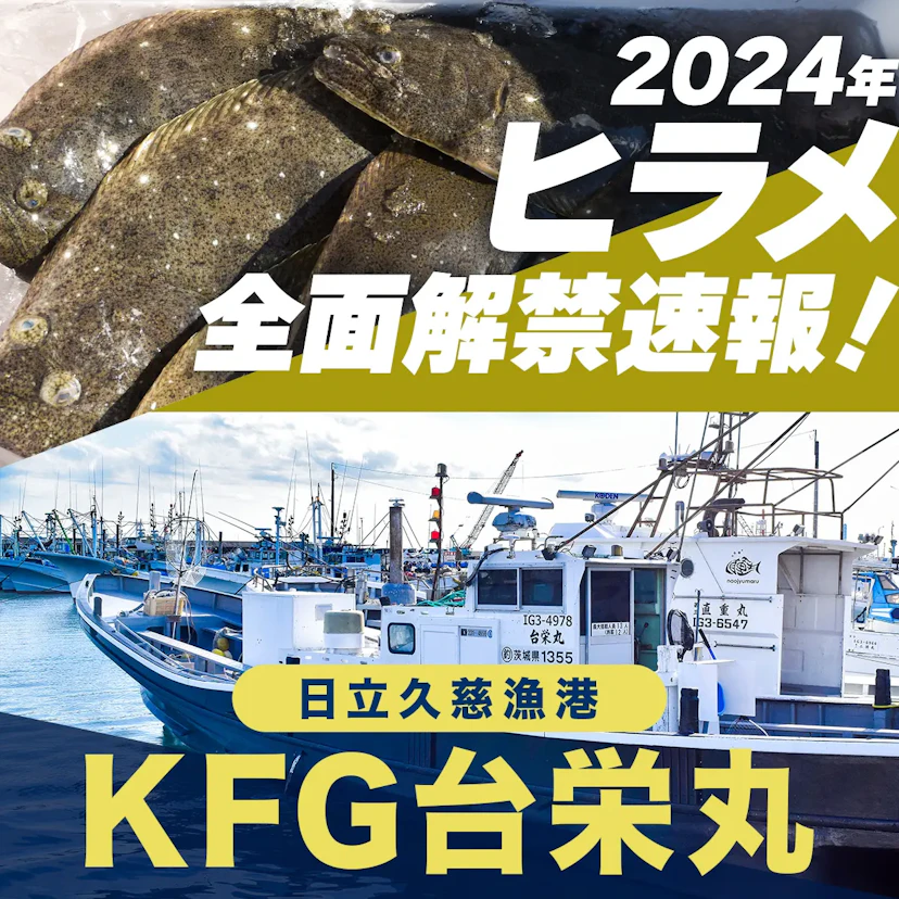 【2024】茨城県ヒラメ全面解禁速報！日立久慈漁港・KFG台栄丸