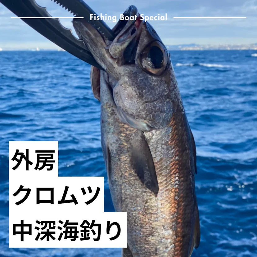 外房でクロムツの中深海釣りがおすすめの釣船ランキングTOP3