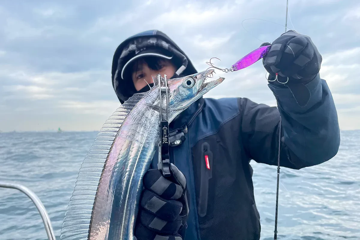 タチウオの釣果写真