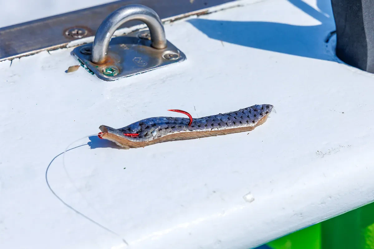 タチウオ釣りのエサ付け