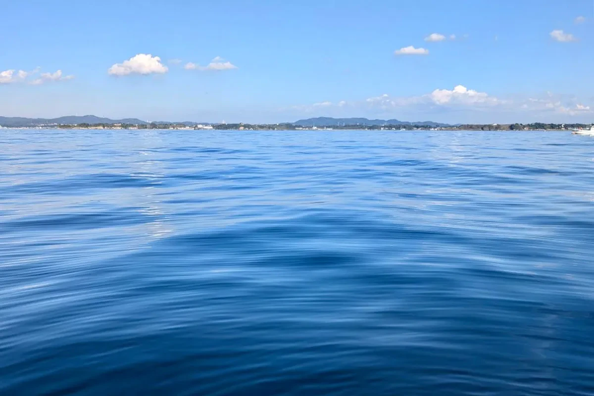 穏やかな海で釣りを楽しもう