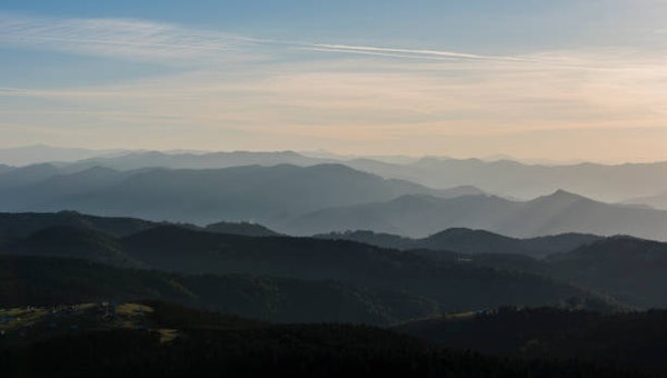 Laravel・VueでGraphQLの環境を構築して使用してみる(Docker使用)