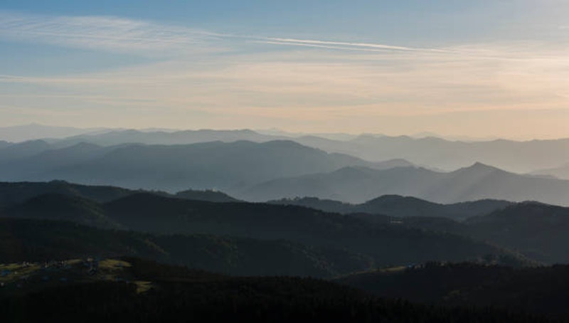 【Laravel8】認証の仕組みをざっくり理解する(laravel・JetStream、inertia.js)