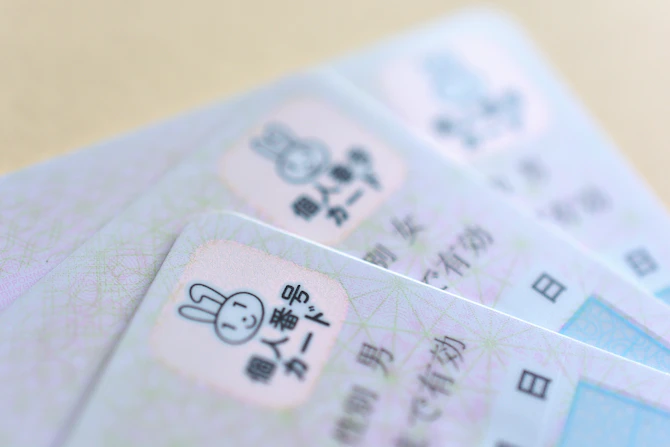 免許証とマイナンバーカードが合体！新時代の「マイナ免許証」完全攻略ガイド