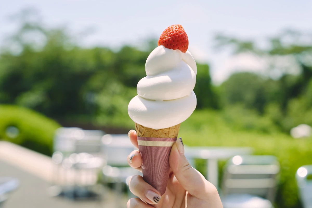 めちゃくちゃ絵になるソフトクリーム!