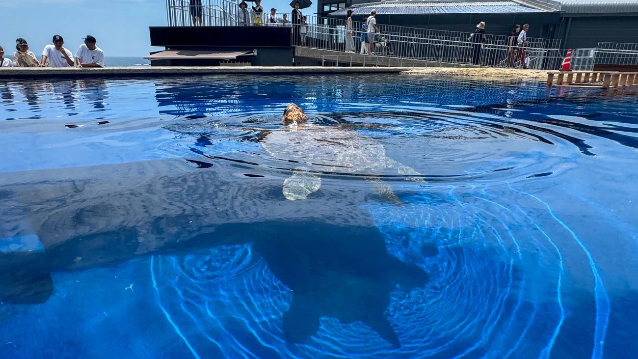 徳島県ご当地VTuber・蒼藍アオに観光スポット紹介25