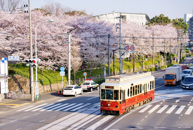 路面電車と同じ道路を走るルールって？初心者が戸惑いやすい『軌道敷内』の走り方と右折のタイミング
