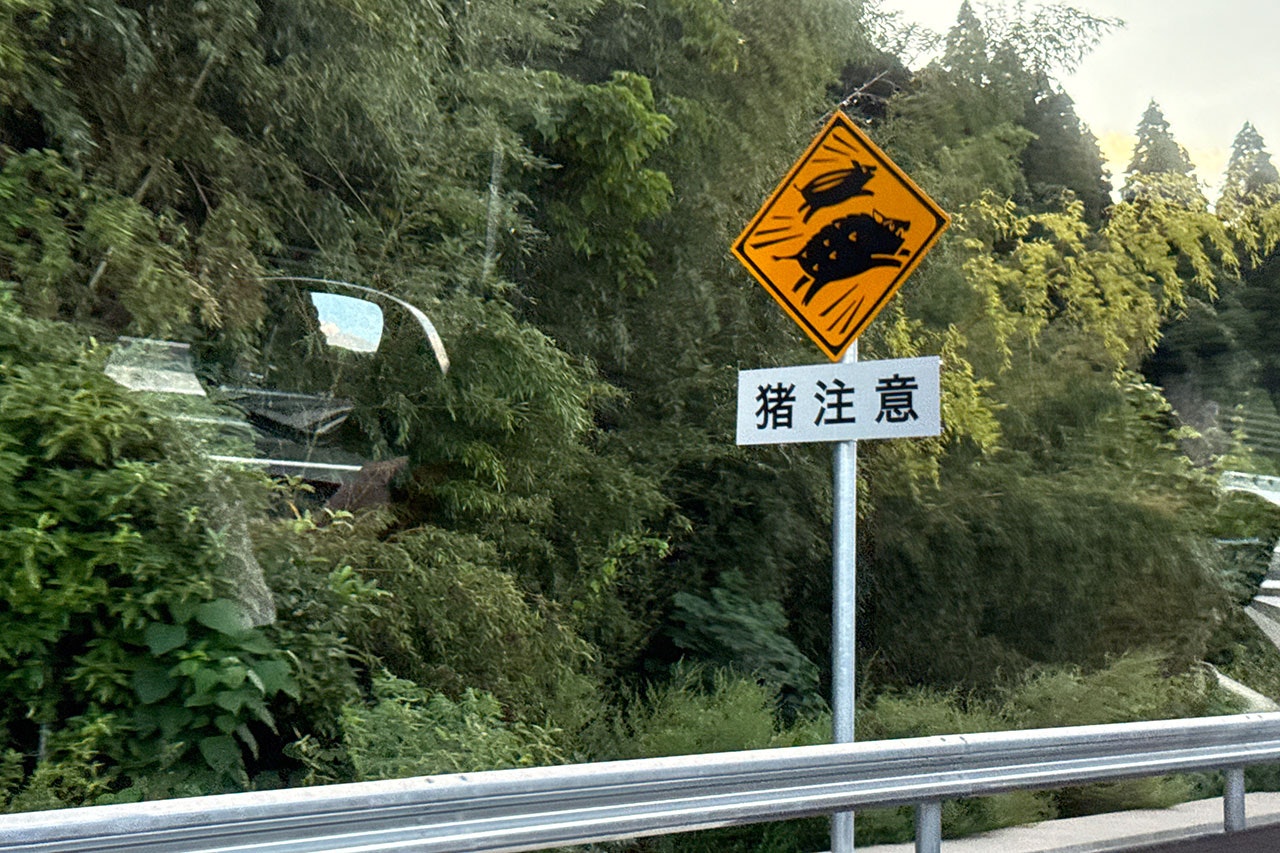 イノシシ注意の看板