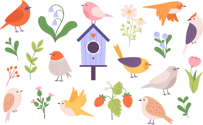 放置厳禁！愛車に「鳥のフン」がついた時の正しい落とし方と徹底対策ガイド