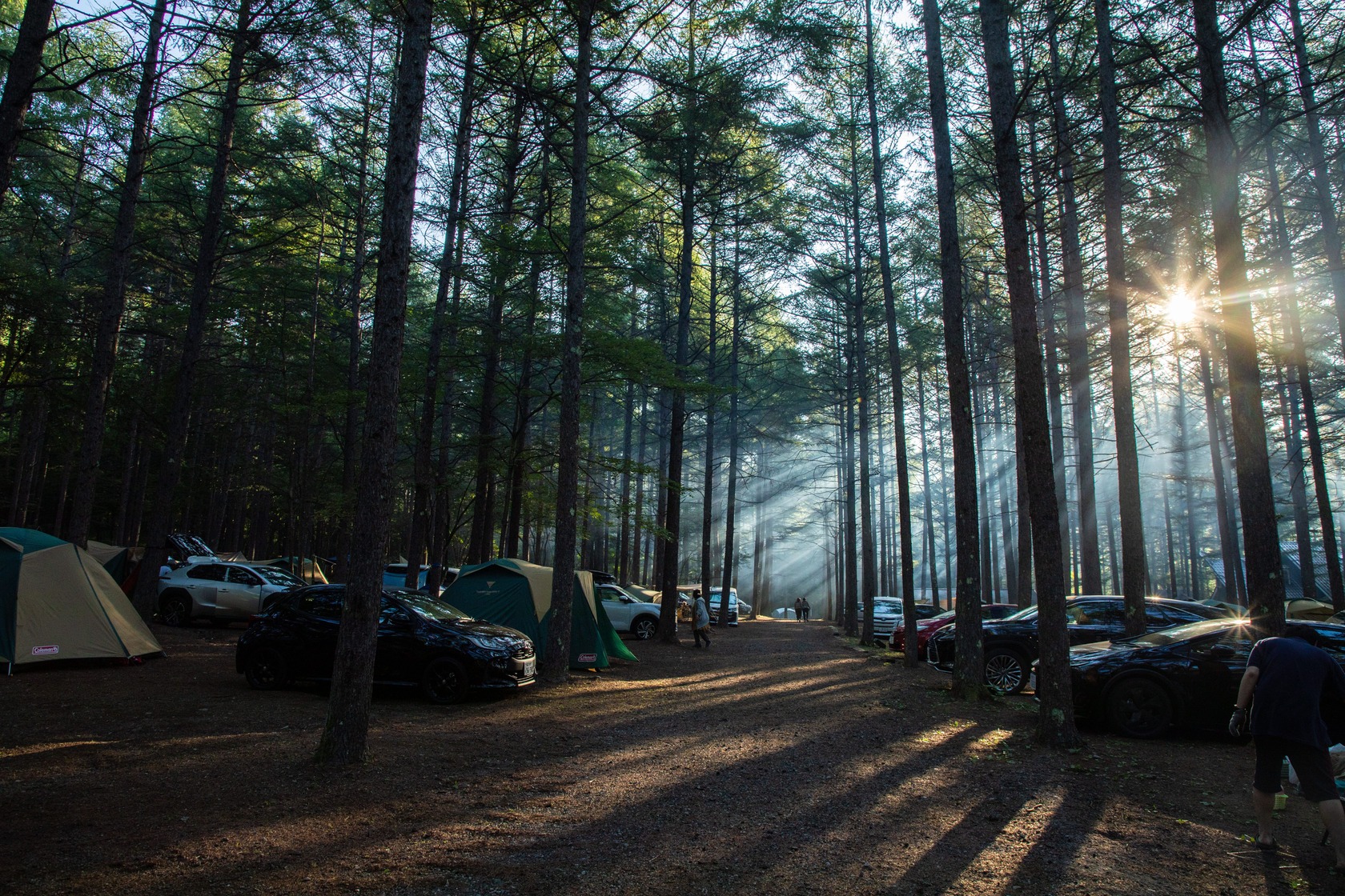 早朝、太陽の光がキャンプサイトに差し込む