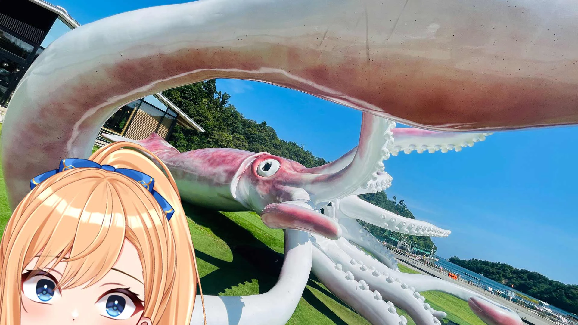 ど迫力のイカ！ イカ！！ イカ！！！