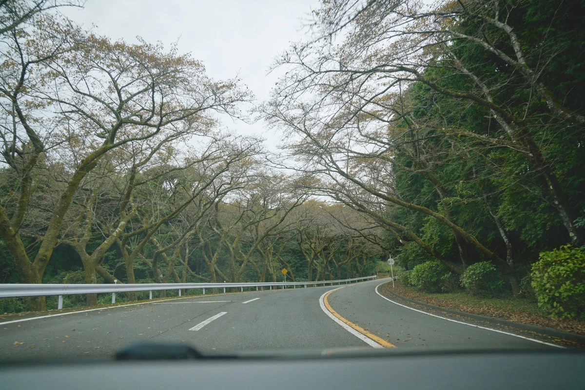 酔い止め都市伝説試してみた8