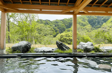 【VISON】BBQランチに日帰り温泉ならぬ日帰り薬草湯
