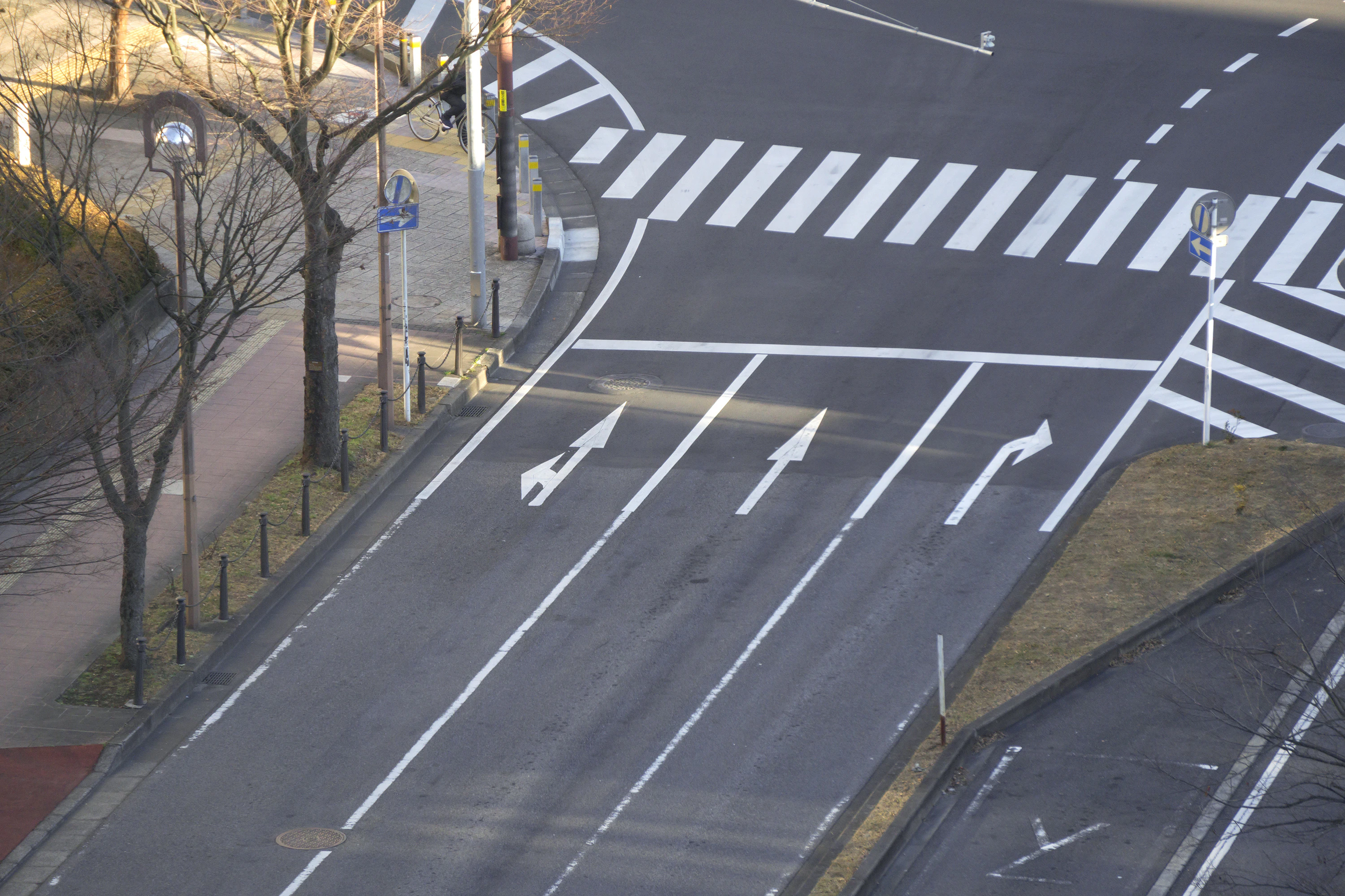 「車線」とどう違う？初心者ドライバーが知るべき「車両通行帯」の基本と重要ルール