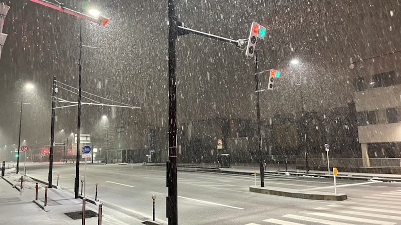 雪がしんしんと降っている真夜中の写真