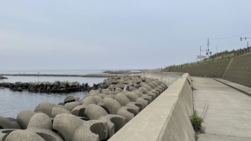 関屋浜の海岸の写真