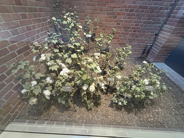 トヨタ技術記念館