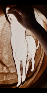 耳