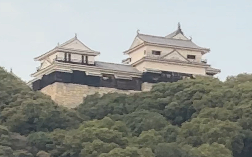 街からはかなり遠目に城が見えました