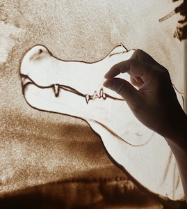 ワニの牙を描く様子