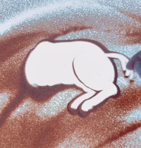 前脚も奥→手前