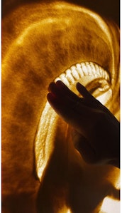 楕円に沿って第２から第４指の腹を使ってリズミカルにタップしていきます