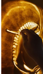 人差し指の先で体の線やヒレを描きます。