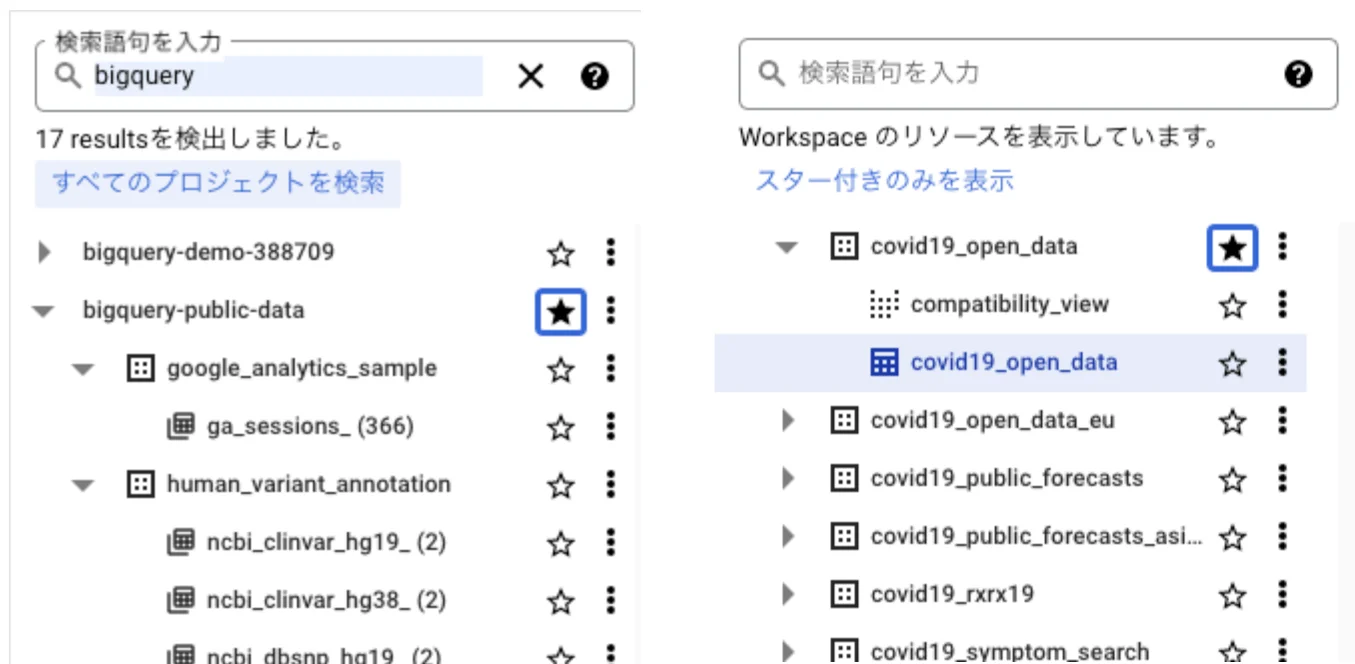 公開データセットを確認