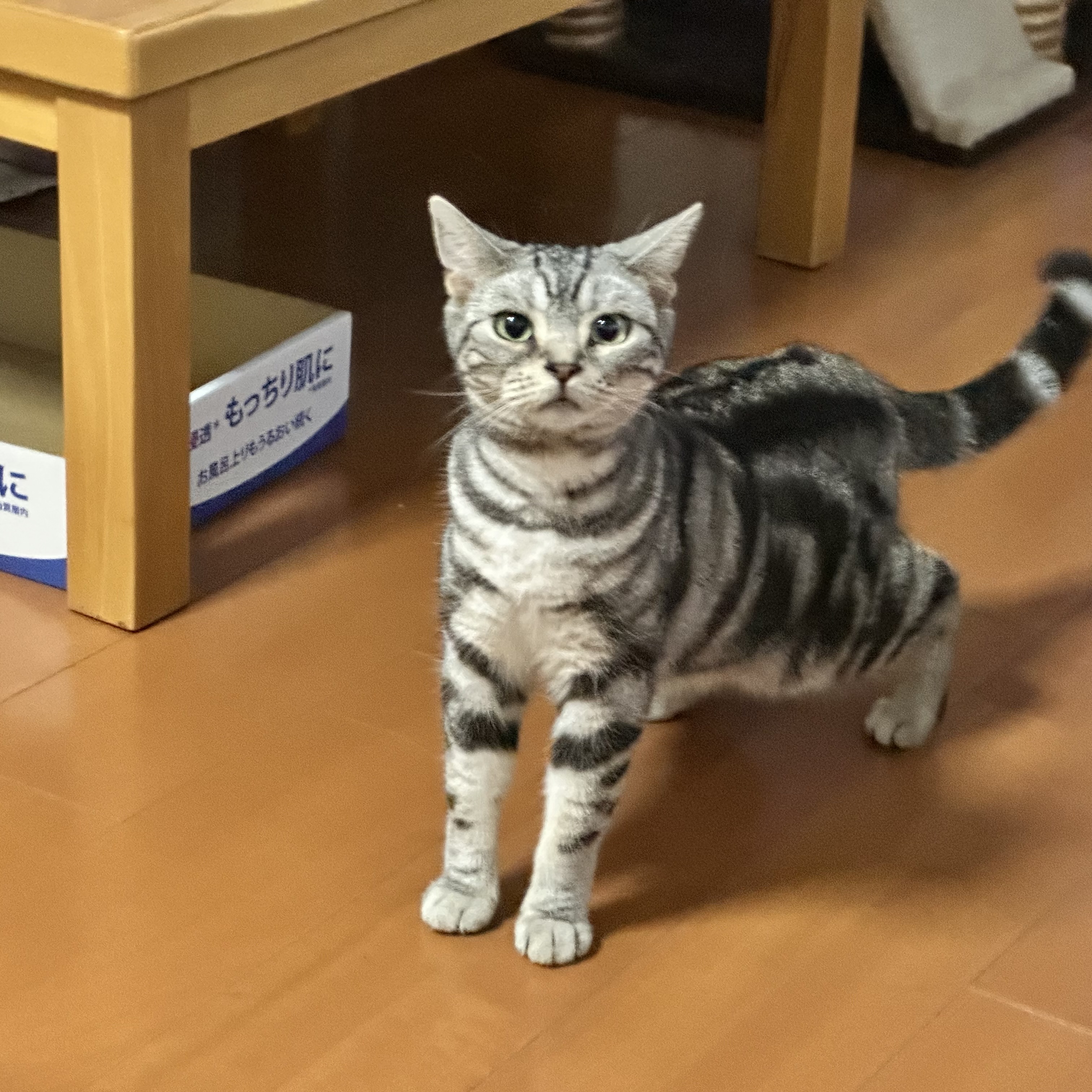 テスト株式会社