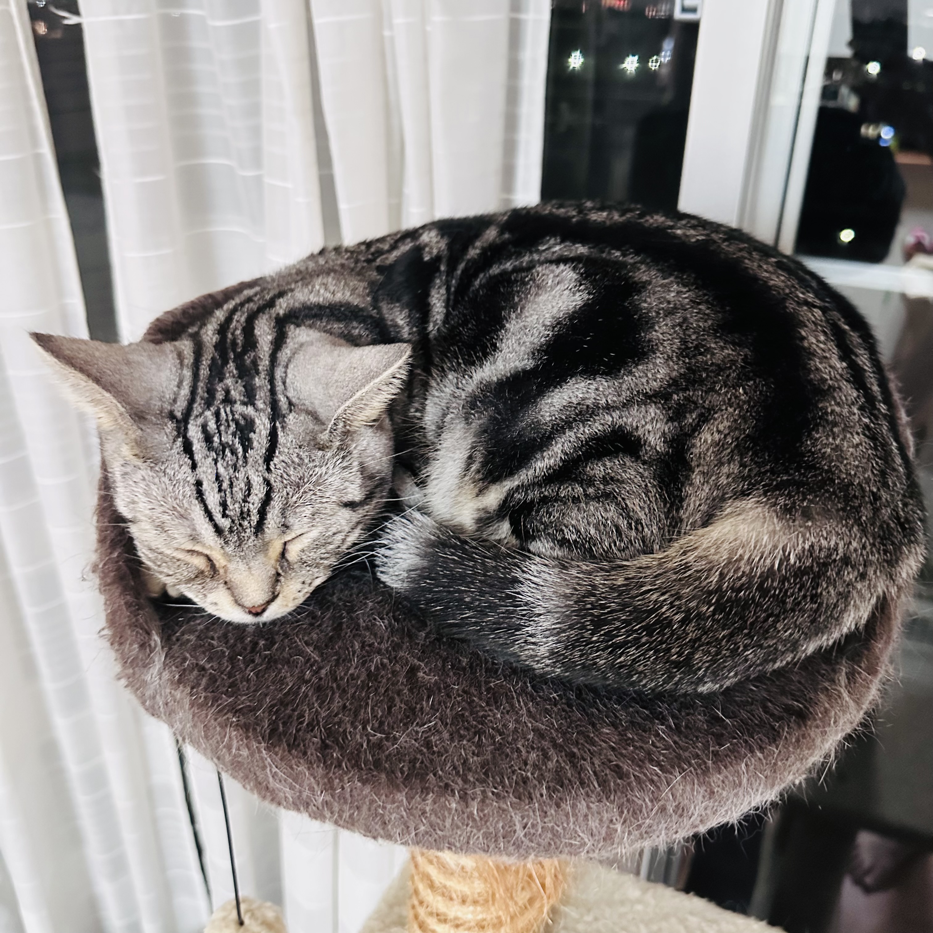 テスト2株式会社