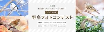 野鳥フォトコンテスト