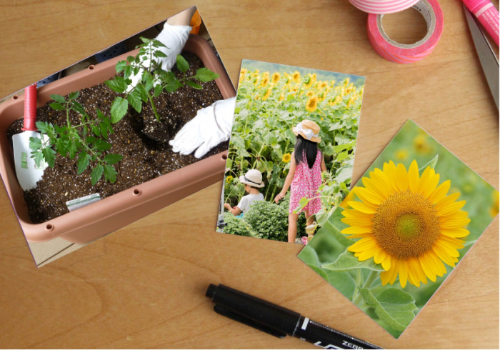 夏休みの自由研究は「写真図鑑」に決まり！