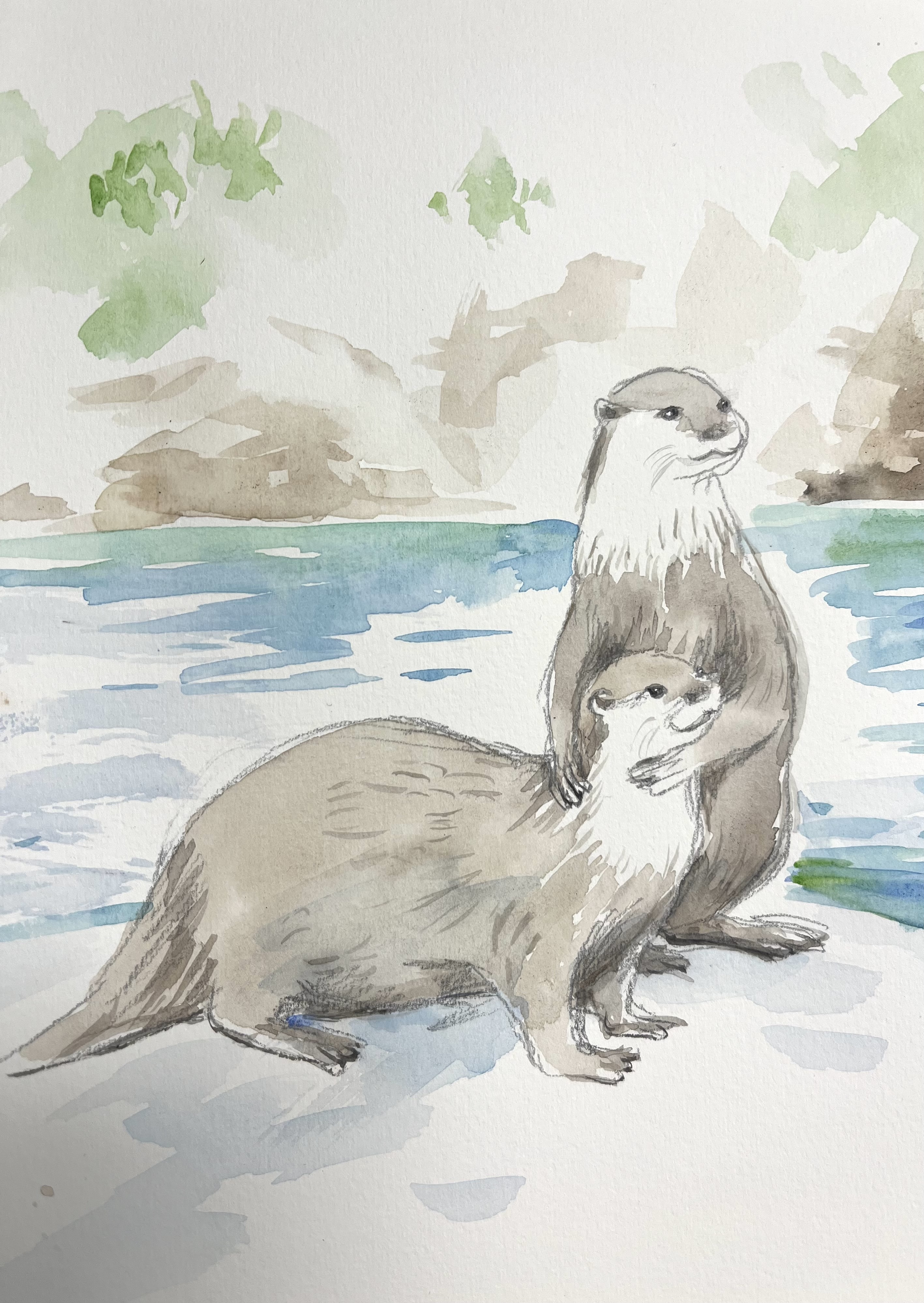 カワウソ描いてみました