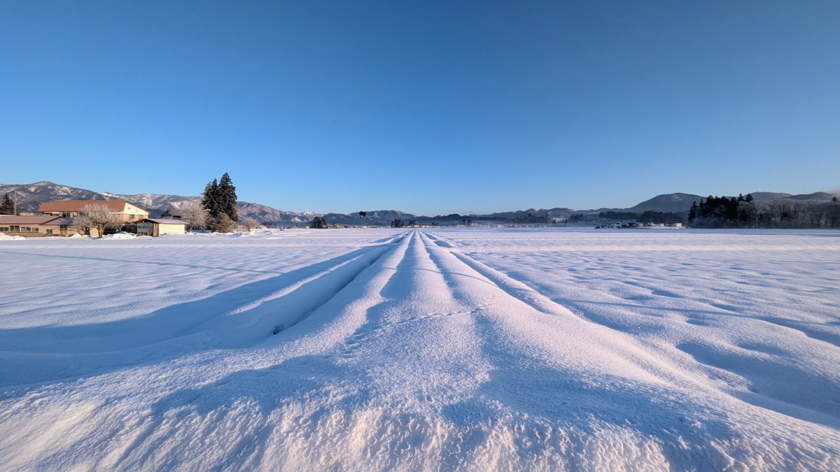 雪に覆われた田んぼと真っ青な空、西木町の冬の日中風景
