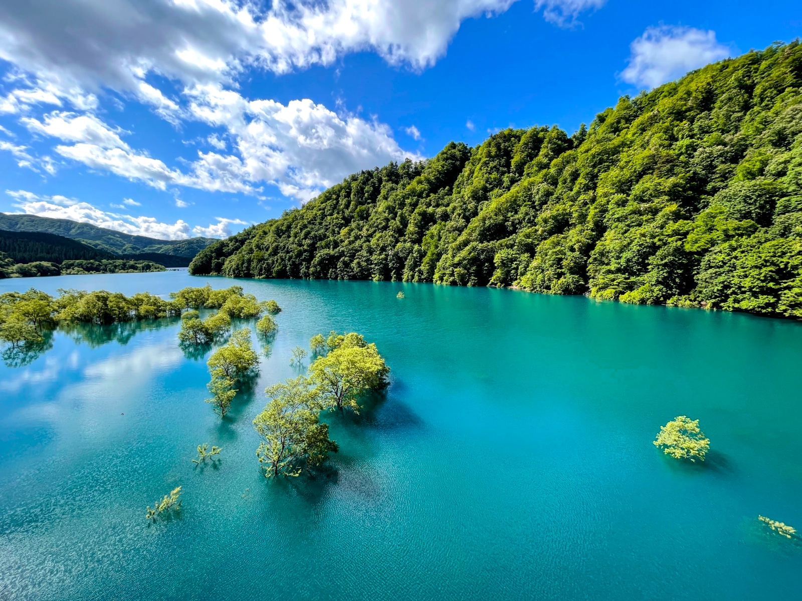 Will this be the last chance to see it for six years? The submerged forest of Akisen Lake offers a breathtaking view that’s only available now