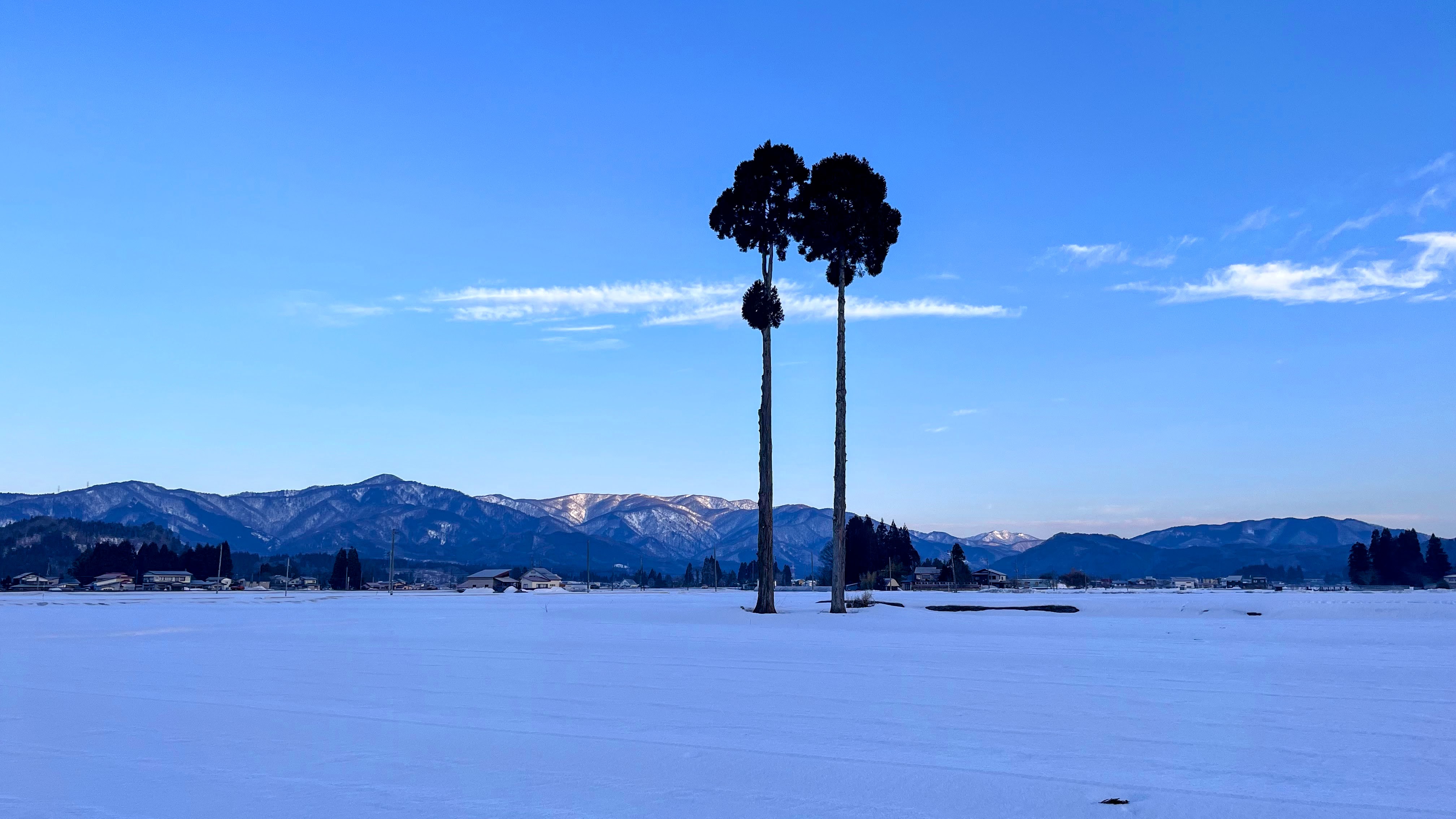 秋田の雪の上を歩く「堅雪散歩」 3