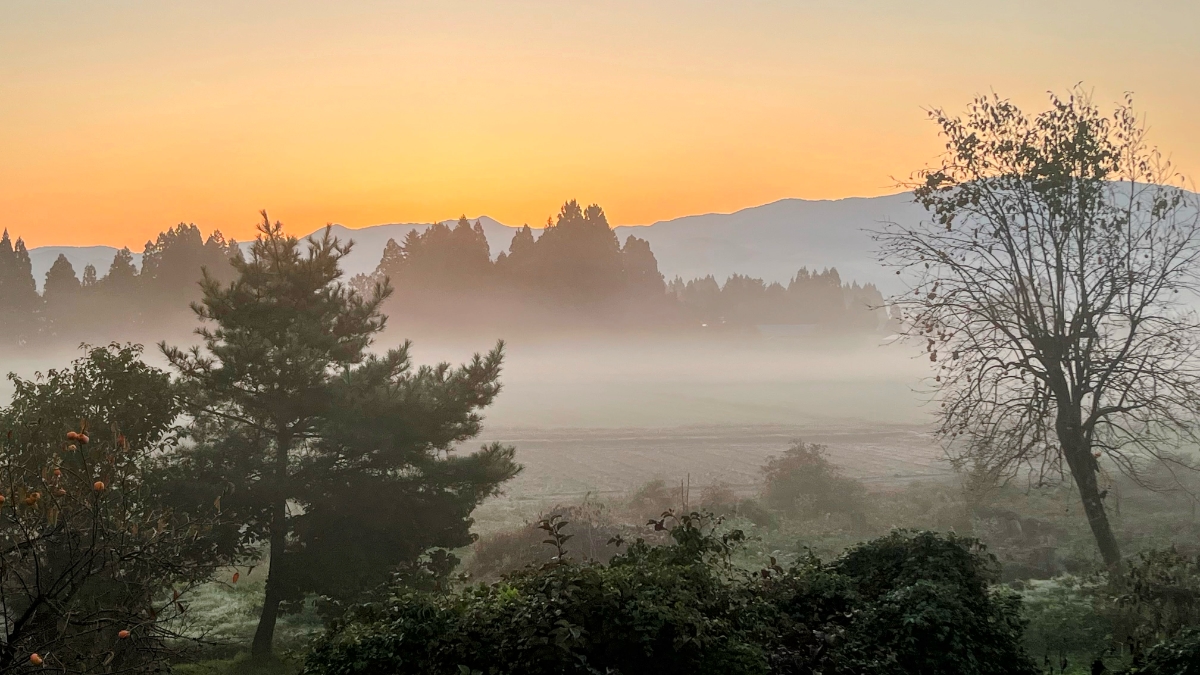 柿の実る里山の朝焼け、西木町の秋