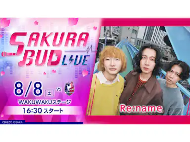 SAKURA BUD LIVE実施のお知らせ