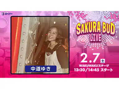 SAKURA BUD LIVE実施のお知らせ