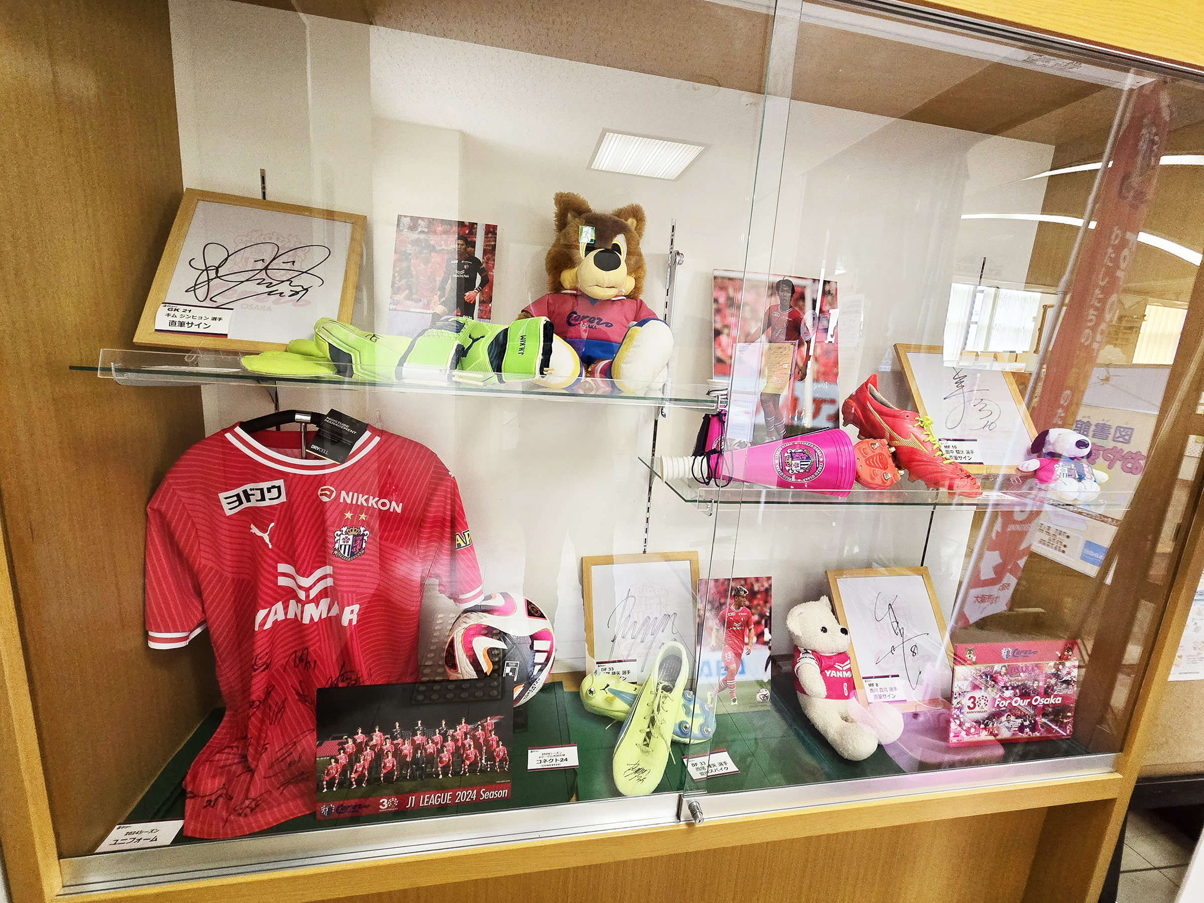 写真で見る教育百年史   /日本図書センタ-/国勢研究所（大型本） 新学期にぴったり！ 1冊で教養が身につく超豪華図鑑 『見るだけ