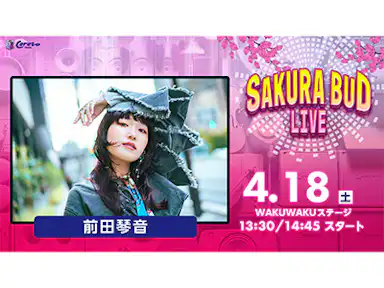 SAKURA BUD LIVE実施のお知らせ