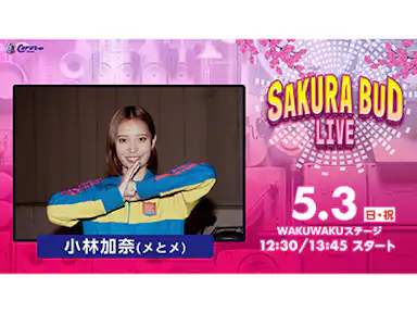 SAKURA BUD LIVE実施のお知らせ