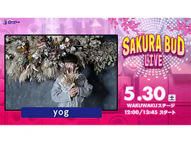 SAKURA BUD LIVE実施のお知らせ
